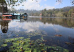 Kodaikanal Lake